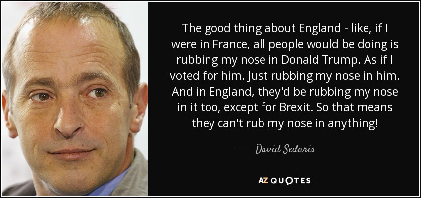 The good thing about England - like, if I were in France, all people would be doing is rubbing my nose in Donald Trump. As if I voted for him. Just rubbing my nose in him. And in England, they'd be rubbing my nose in it too, except for Brexit. So that means they can't rub my nose in anything! - David Sedaris