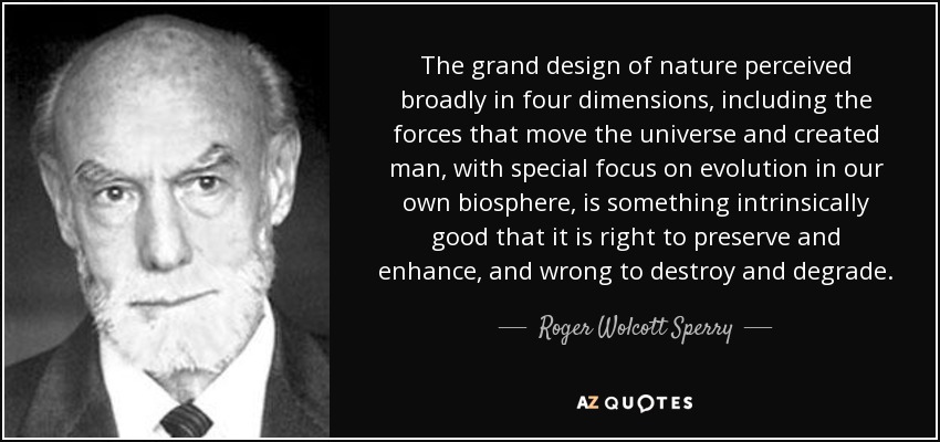 The grand design of nature perceived broadly in four dimensions, including the forces that move the universe and created man, with special focus on evolution in our own biosphere, is something intrinsically good that it is right to preserve and enhance, and wrong to destroy and degrade. - Roger Wolcott Sperry
