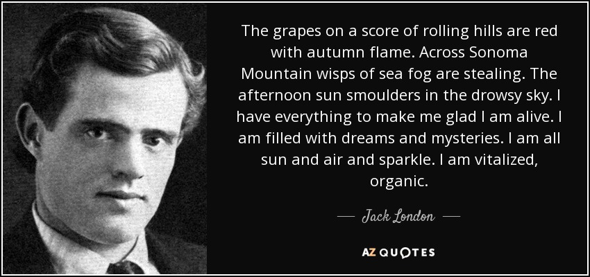 The grapes on a score of rolling hills are red with autumn flame. Across Sonoma Mountain wisps of sea fog are stealing. The afternoon sun smoulders in the drowsy sky. I have everything to make me glad I am alive. I am filled with dreams and mysteries. I am all sun and air and sparkle. I am vitalized, organic. - Jack London