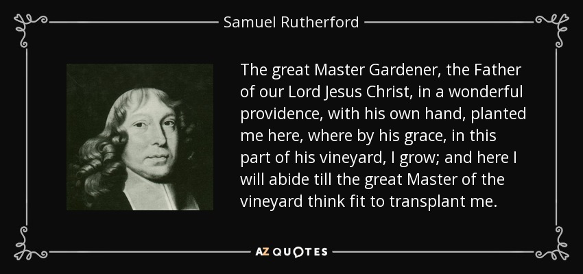 The great Master Gardener, the Father of our Lord Jesus Christ, in a wonderful providence, with his own hand, planted me here, where by his grace, in this part of his vineyard, I grow; and here I will abide till the great Master of the vineyard think fit to transplant me. - Samuel Rutherford