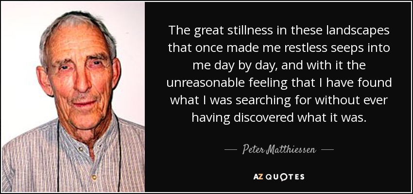 The great stillness in these landscapes that once made me restless seeps into me day by day, and with it the unreasonable feeling that I have found what I was searching for without ever having discovered what it was. - Peter Matthiessen