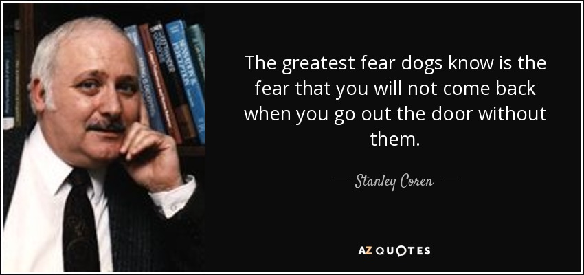 The greatest fear dogs know is the fear that you will not come back when you go out the door without them. - Stanley Coren