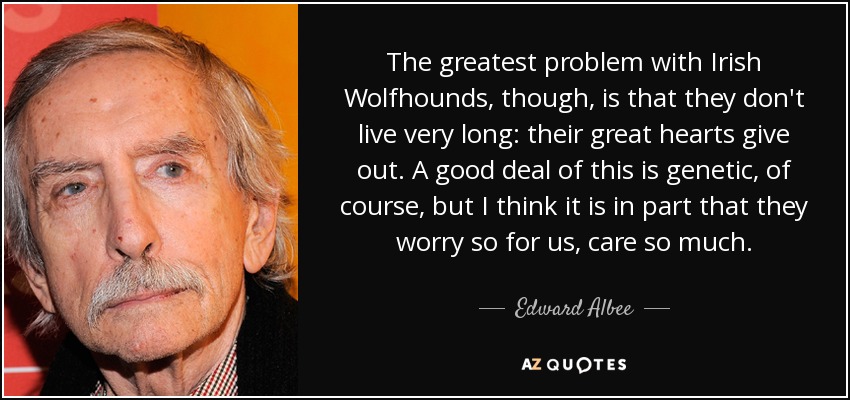 The greatest problem with Irish Wolfhounds, though, is that they don't live very long: their great hearts give out. A good deal of this is genetic, of course, but I think it is in part that they worry so for us, care so much. - Edward Albee