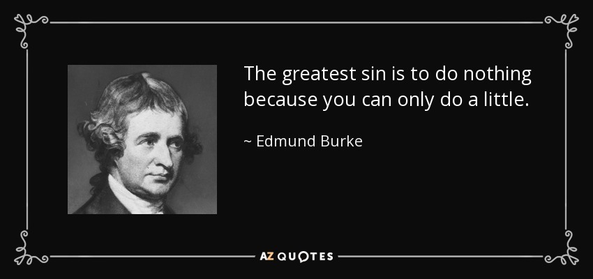 The greatest sin is to do nothing because you can only do a little. - Edmund Burke