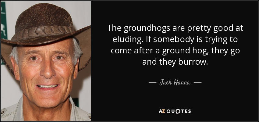 The groundhogs are pretty good at eluding. If somebody is trying to come after a ground hog, they go and they burrow. - Jack Hanna