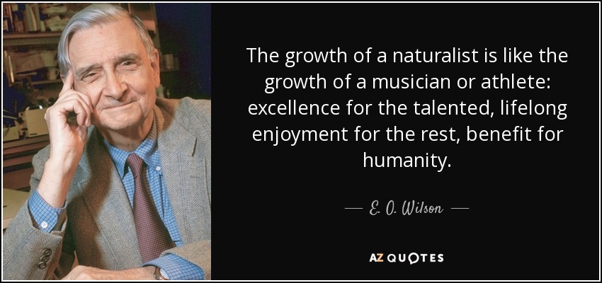 The growth of a naturalist is like the growth of a musician or athlete: excellence for the talented, lifelong enjoyment for the rest, benefit for humanity. - E. O. Wilson