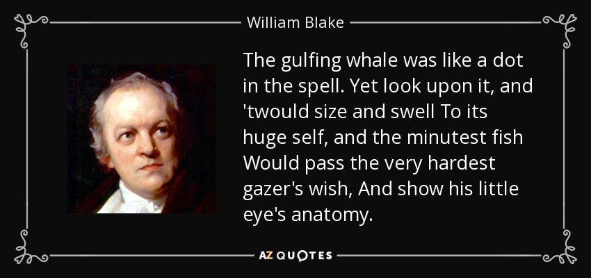 The gulfing whale was like a dot in the spell. Yet look upon it, and 'twould size and swell To its huge self, and the minutest fish Would pass the very hardest gazer's wish, And show his little eye's anatomy. - William Blake