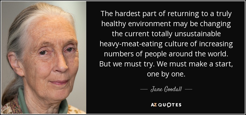 The hardest part of returning to a truly healthy environment may be changing the current totally unsustainable heavy-meat-eating culture of increasing numbers of people around the world. But we must try. We must make a start, one by one. - Jane Goodall