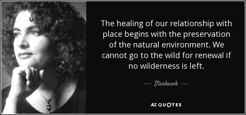 The healing of our relationship with place begins with the preservation of the natural environment. We cannot go to the wild for renewal if no wilderness is left. - Starhawk