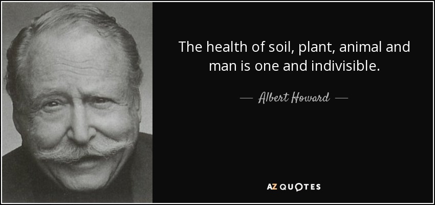 The health of soil, plant, animal and man is one and indivisible. - Albert Howard
