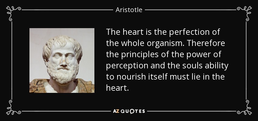 The heart is the perfection of the whole organism. Therefore the principles of the power of perception and the souls ability to nourish itself must lie in the heart. - Aristotle