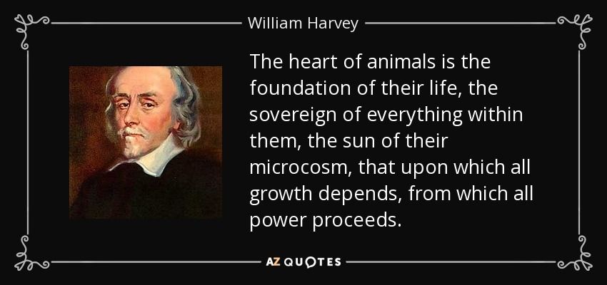 The heart of animals is the foundation of their life, the sovereign of everything within them, the sun of their microcosm, that upon which all growth depends, from which all power proceeds. - William Harvey