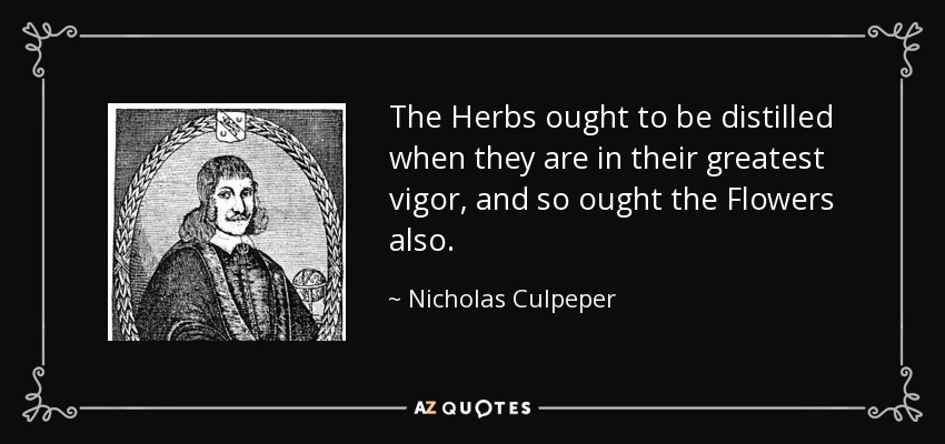 The Herbs ought to be distilled when they are in their greatest vigor, and so ought the Flowers also. - Nicholas Culpeper