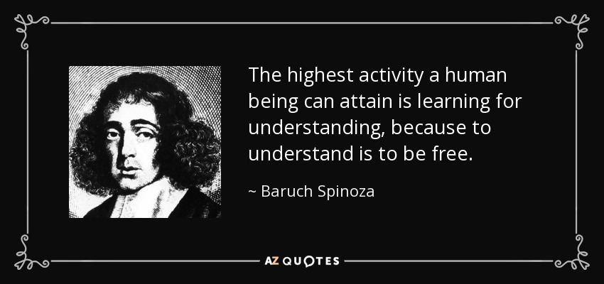 The highest activity a human being can attain is learning for understanding, because to understand is to be free. - Baruch Spinoza