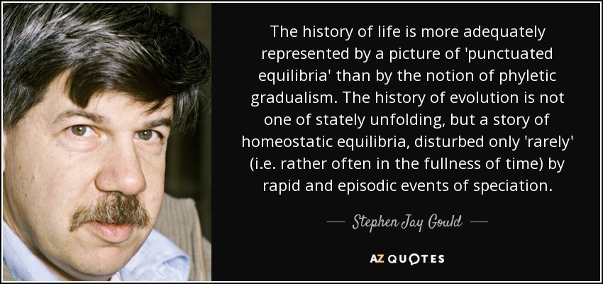 The history of life is more adequately represented by a picture of 'punctuated equilibria' than by the notion of phyletic gradualism. The history of evolution is not one of stately unfolding, but a story of homeostatic equilibria, disturbed only 'rarely' (i.e. rather often in the fullness of time) by rapid and episodic events of speciation. - Stephen Jay Gould