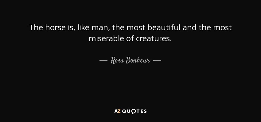 The horse is, like man, the most beautiful and the most miserable of creatures. - Rosa Bonheur