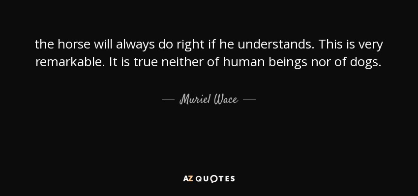the horse will always do right if he understands. This is very remarkable. It is true neither of human beings nor of dogs. - Muriel Wace