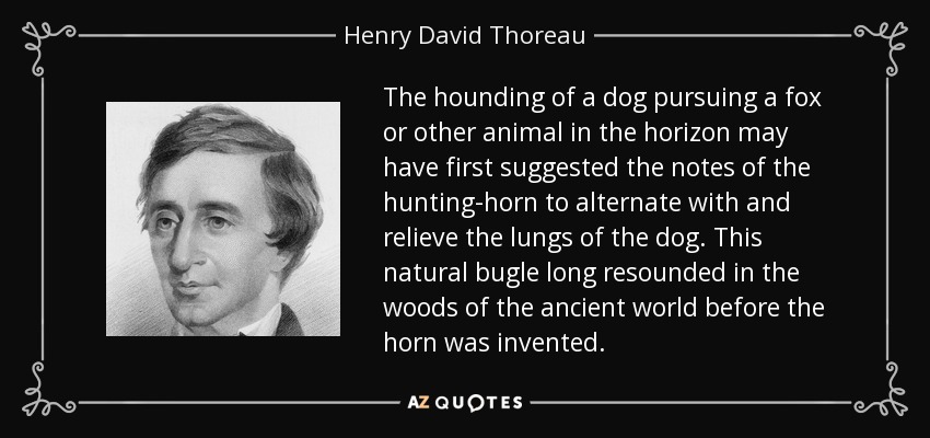 The hounding of a dog pursuing a fox or other animal in the horizon may have first suggested the notes of the hunting-horn to alternate with and relieve the lungs of the dog. This natural bugle long resounded in the woods of the ancient world before the horn was invented. - Henry David Thoreau