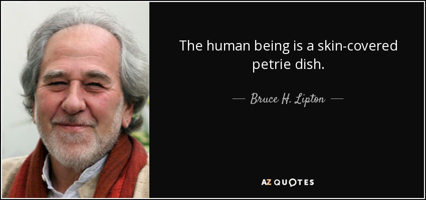 The human being is a skin-covered petrie dish. - Bruce H. Lipton