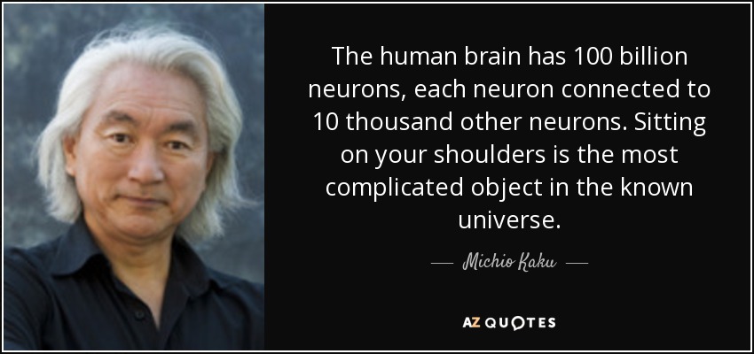 The human brain has 100 billion neurons, each neuron connected to 10 thousand other neurons. Sitting on your shoulders is the most complicated object in the known universe. - Michio Kaku