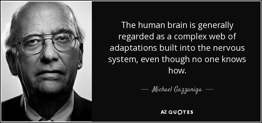 The human brain is generally regarded as a complex web of adaptations built into the nervous system, even though no one knows how. - Michael Gazzaniga