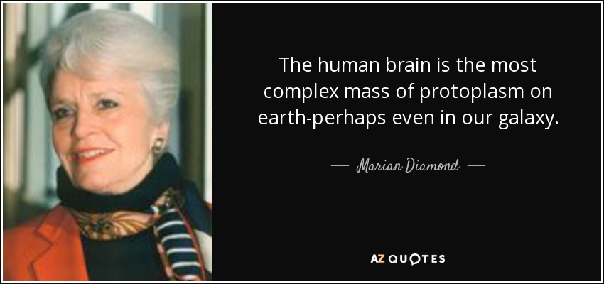 The human brain is the most complex mass of protoplasm on earth-perhaps even in our galaxy. - Marian Diamond