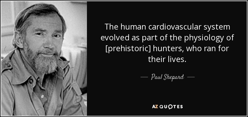 The human cardiovascular system evolved as part of the physiology of [prehistoric] hunters, who ran for their lives. - Paul Shepard