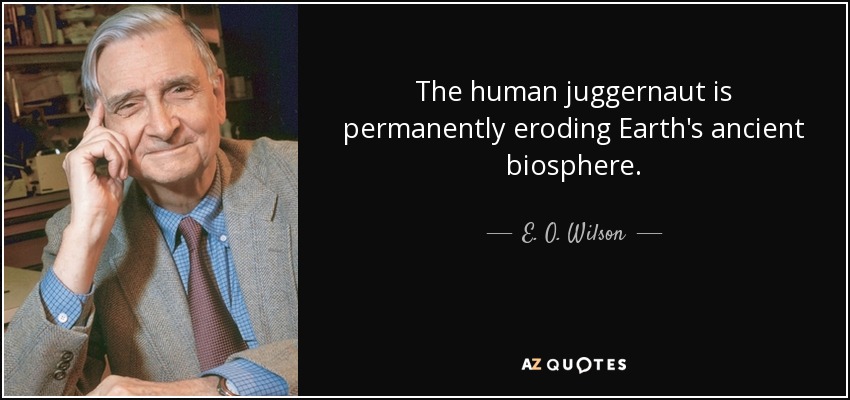 The human juggernaut is permanently eroding Earth's ancient biosphere. - E. O. Wilson