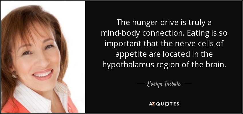 The hunger drive is truly a mind-body connection. Eating is so important that the nerve cells of appetite are located in the hypothalamus region of the brain. - Evelyn Tribole