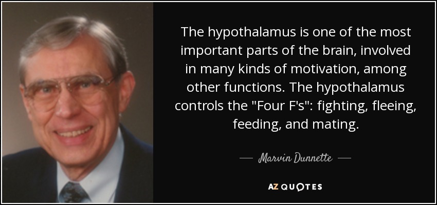 The hypothalamus is one of the most important parts of the brain, involved in many kinds of motivation, among other functions. The hypothalamus controls the 