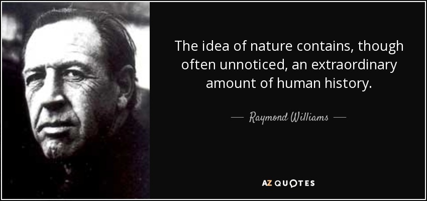 The idea of nature contains, though often unnoticed, an extraordinary amount of human history. - Raymond Williams
