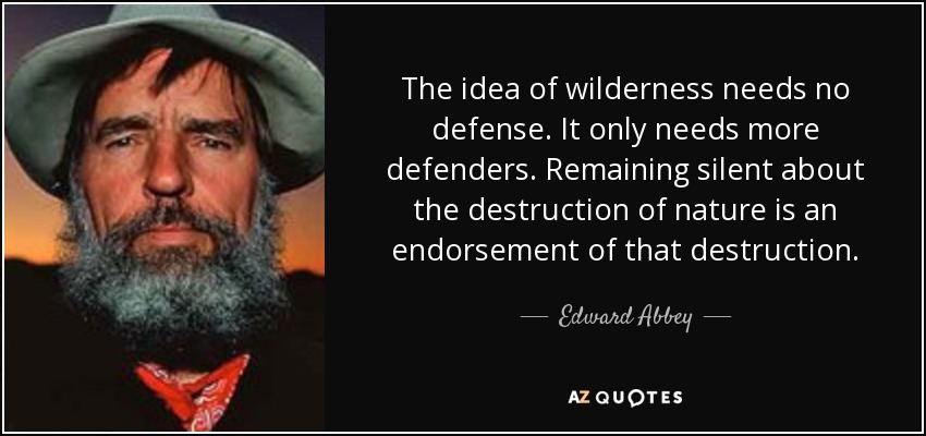 The idea of wilderness needs no defense. It only needs more defenders. Remaining silent about the destruction of nature is an endorsement of that destruction. - Edward Abbey