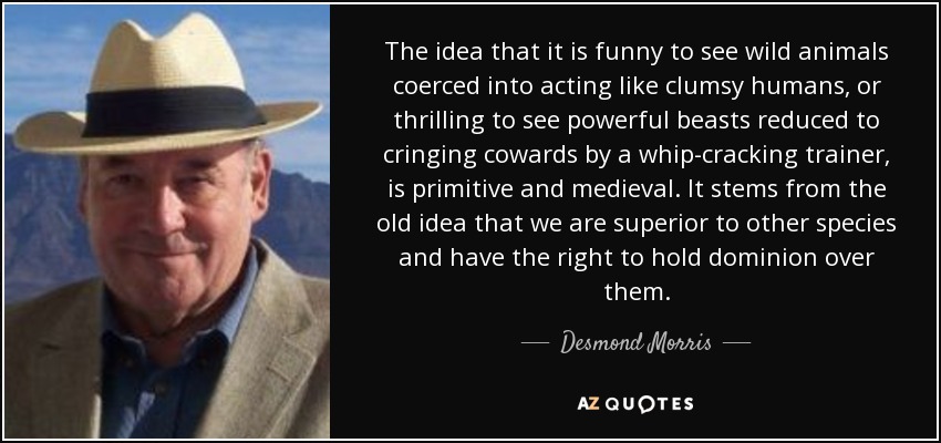 The idea that it is funny to see wild animals coerced into acting like clumsy humans, or thrilling to see powerful beasts reduced to cringing cowards by a whip-cracking trainer, is primitive and medieval. It stems from the old idea that we are superior to other species and have the right to hold dominion over them. - Desmond Morris