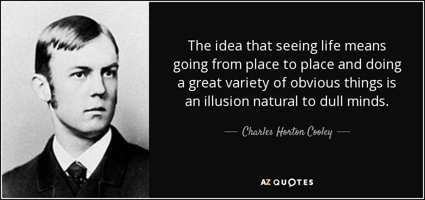 The idea that seeing life means going from place to place and doing a great variety of obvious things is an illusion natural to dull minds. - Charles Horton Cooley