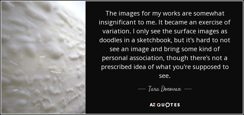 The images for my works are somewhat insignificant to me. It became an exercise of variation. I only see the surface images as doodles in a sketchbook, but it's hard to not see an image and bring some kind of personal association, though there's not a prescribed idea of what you're supposed to see. - Tara Donovan