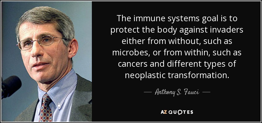 The immune systems goal is to protect the body against invaders either from without, such as microbes, or from within, such as cancers and different types of neoplastic transformation. - Anthony S. Fauci