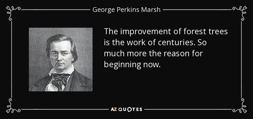 The improvement of forest trees is the work of centuries. So much more the reason for beginning now. - George Perkins Marsh