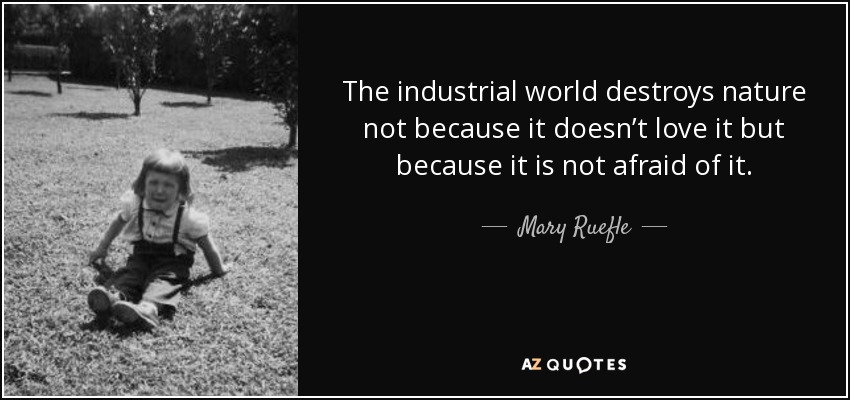 The industrial world destroys nature not because it doesn’t love it but because it is not afraid of it. - Mary Ruefle