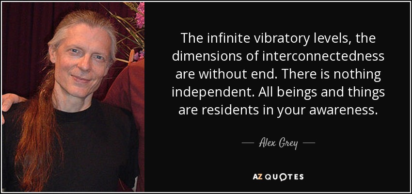 The infinite vibratory levels, the dimensions of interconnectedness are without end. There is nothing independent. All beings and things are residents in your awareness. - Alex Grey