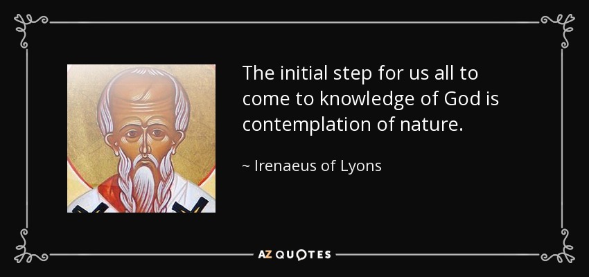 The initial step for us all to come to knowledge of God is contemplation of nature. - Irenaeus of Lyons
