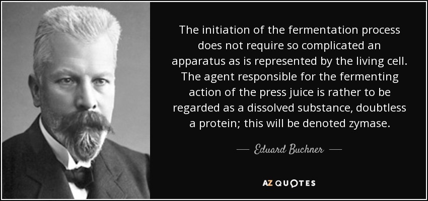 The initiation of the fermentation process does not require so complicated an apparatus as is represented by the living cell. The agent responsible for the fermenting action of the press juice is rather to be regarded as a dissolved substance, doubtless a protein; this will be denoted zymase. - Eduard Buchner