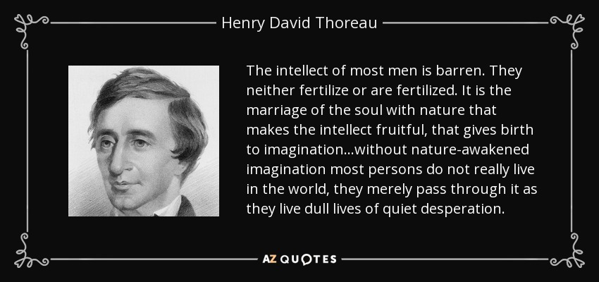 The intellect of most men is barren. They neither fertilize or are fertilized. It is the marriage of the soul with nature that makes the intellect fruitful, that gives birth to imagination...without nature-awakened imagination most persons do not really live in the world, they merely pass through it as they live dull lives of quiet desperation. - Henry David Thoreau