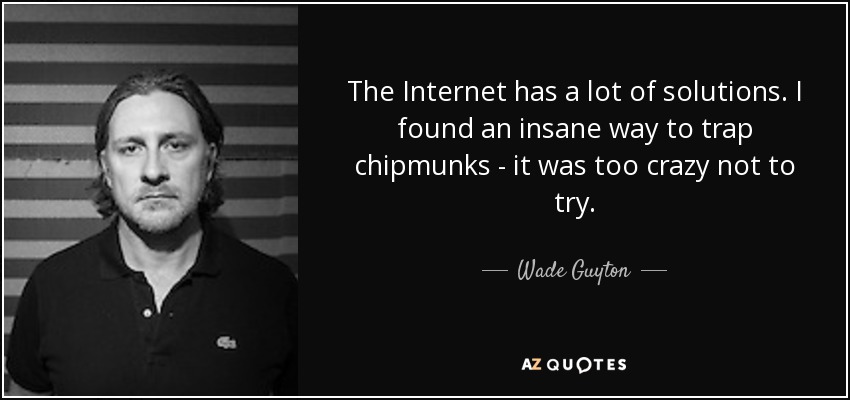 The Internet has a lot of solutions. I found an insane way to trap chipmunks - it was too crazy not to try. - Wade Guyton