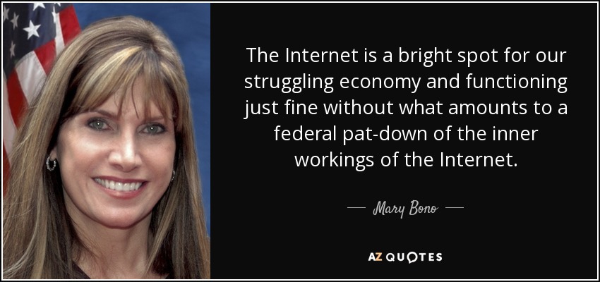 The Internet is a bright spot for our struggling economy and functioning just fine without what amounts to a federal pat-down of the inner workings of the Internet. - Mary Bono