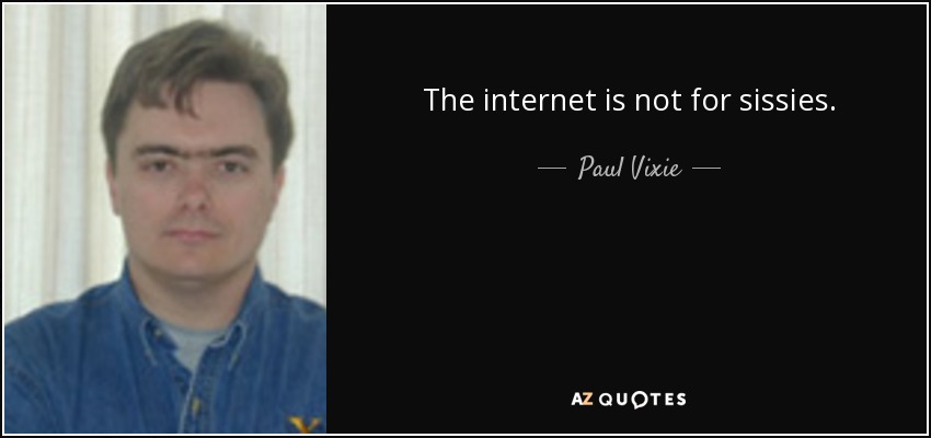The internet is not for sissies. - Paul Vixie