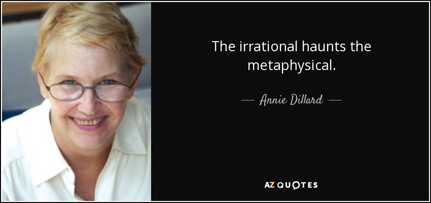 The irrational haunts the metaphysical. - Annie Dillard