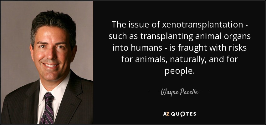 The issue of xenotransplantation - such as transplanting animal organs into humans - is fraught with risks for animals, naturally, and for people. - Wayne Pacelle
