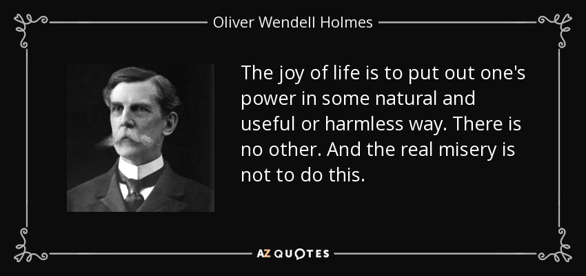 The joy of life is to put out one's power in some natural and useful or harmless way. There is no other. And the real misery is not to do this. - Oliver Wendell Holmes, Jr.