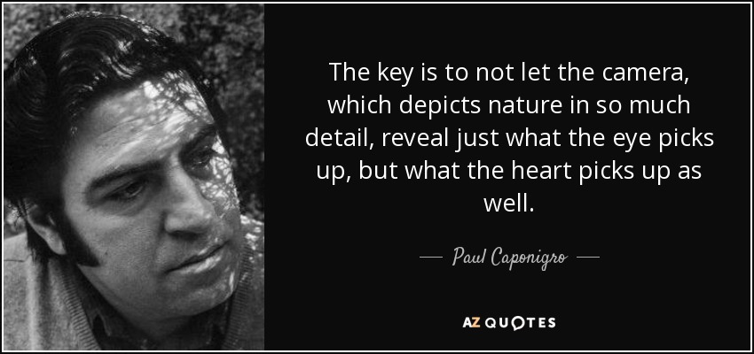 The key is to not let the camera, which depicts nature in so much detail, reveal just what the eye picks up, but what the heart picks up as well. - Paul Caponigro