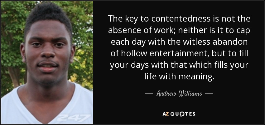 The key to contentedness is not the absence of work; neither is it to cap each day with the witless abandon of hollow entertainment, but to fill your days with that which fills your life with meaning. - Andrew Williams